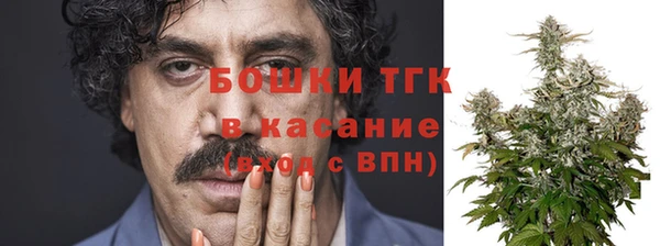 мдпв Каменногорск