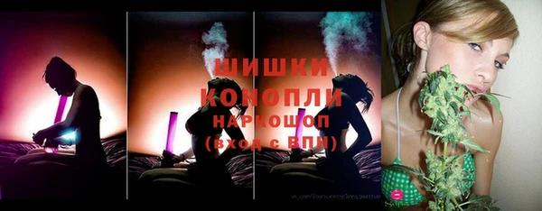 мдпв Каменногорск
