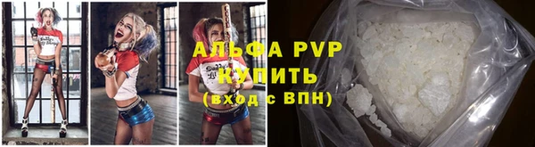 дживик Каменка
