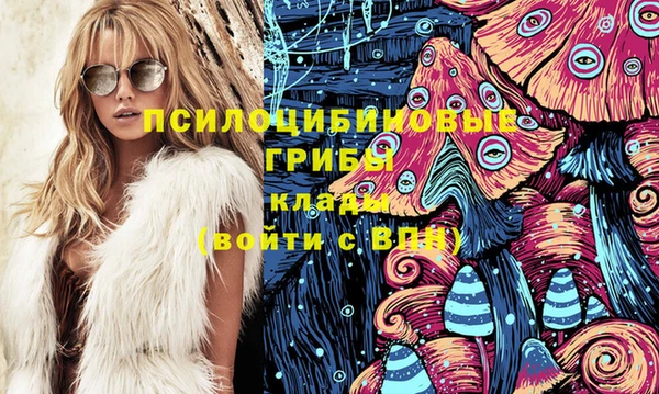 MDMA Premium VHQ Карпинск