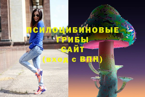 дживик Каменка