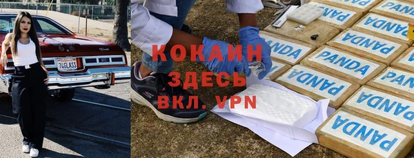 мдпв Каменногорск