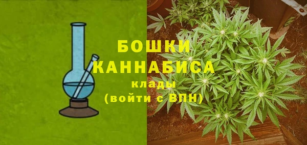 мдпв Каменногорск