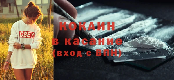дживик Каменка