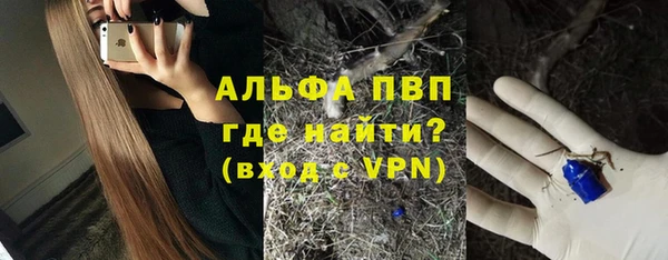 дживик Каменка