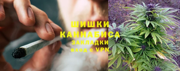 мдпв Каменногорск